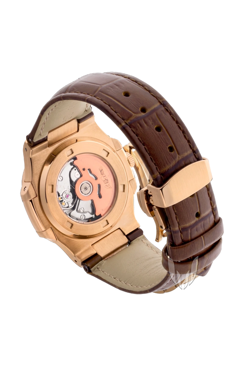 Image of Custom Nautilus Phoenix