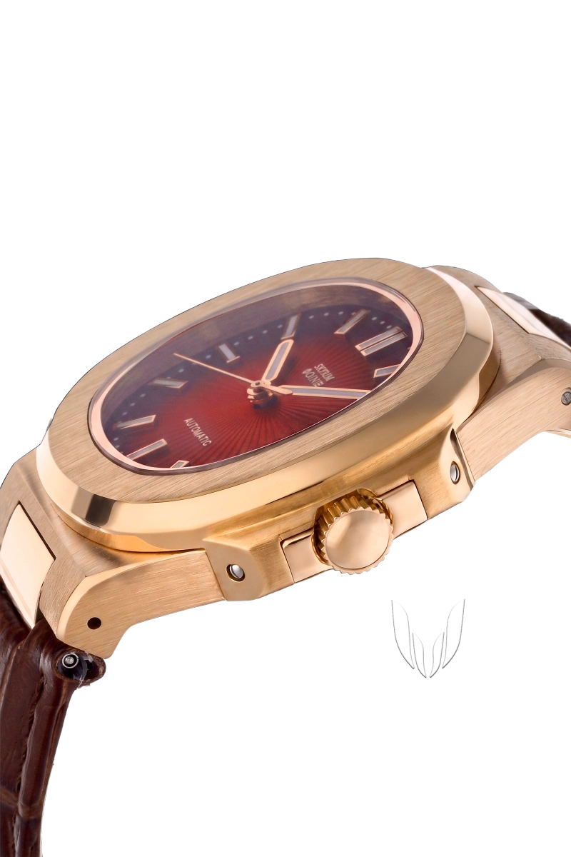 Image of Custom Nautilus Phoenix