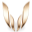 SKYRIM WRIST logo